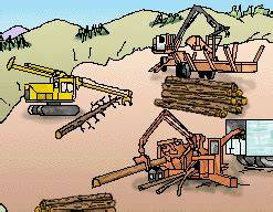 eTool : Logging - Manual Operations - Felling Trees - Identifying the ... - raincitystudios.com