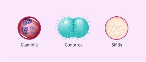 ETS & ATS Kendi Radyonu Yapma World Of Trucks Multiplayer. 