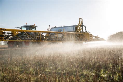 EU agency sees no “critical areas of concern” in the use of controversial chemical herbicide