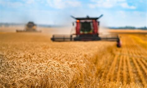 EU agri-food exports back at their April 2022 level amid curtailed trade