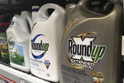 EU can’t reach decision on prolonging the use of chemical herbicide glyphosate