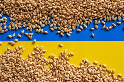 EU has no easy options to help Ukraine shift its grain
