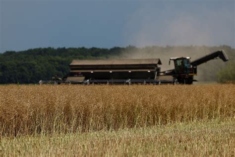 EU lets Ukrainian grain ban expire even as countries threaten to pass their own