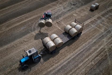 EU lets Ukrainian grain ban expire even as some member countries impose their own