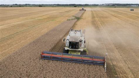 EU lifts ban on Ukrainian grain imports