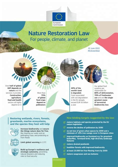 EU nature restoration law: MEPs strike deal to restore 20% of EU’s land and sea  