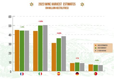 EU wine harvest 2023 – Overall decrease foreseen with some exceptions - Food Turkey