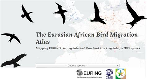 Eurasian-African Bird Migration Atlas - UNEP - UN … - wintechmobiles.com