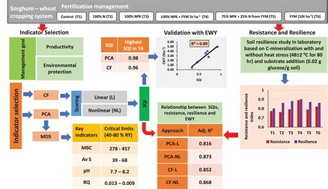 European Journal of Soil Science - British Society of Soil Science - wintechmobiles.com