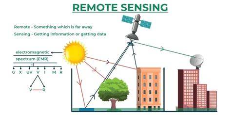 Evaluating the Efficacy of Remote Sensing Techniques in Monitoring ... - raincitystudios.com