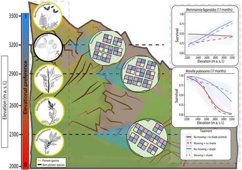 Evaluation of field survival and growth to support the restoration of ... - raincitystudios.com