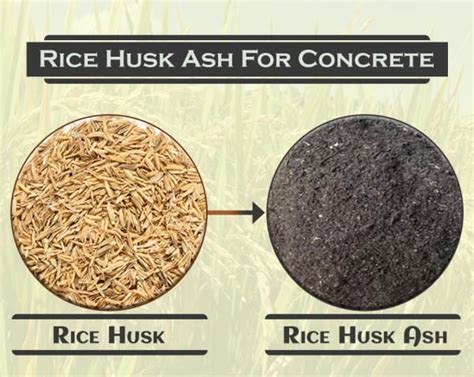 Evaluation of Rice Husk Ash and Coconut Shell Ash as Natural Bio ... - raincitystudios.com