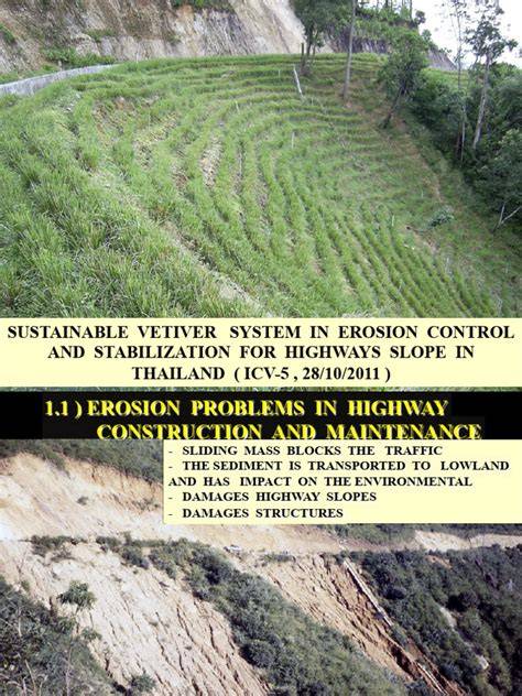 Evaluation of Vetiver System for Erosion Control - Springer - raincitystudios.com