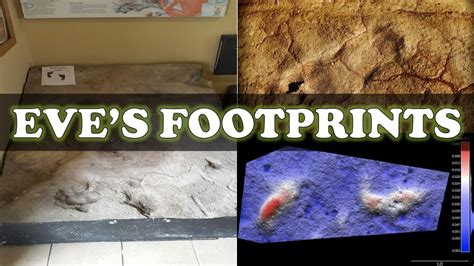 Eve's footprint - wintechmobiles.com