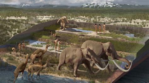 Evidence of humans in North America during the Last Glacial ... - AAAS - wintechmobiles.com