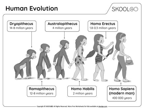 Evolution | Definition, History, Types, & Examples - muktibox.com