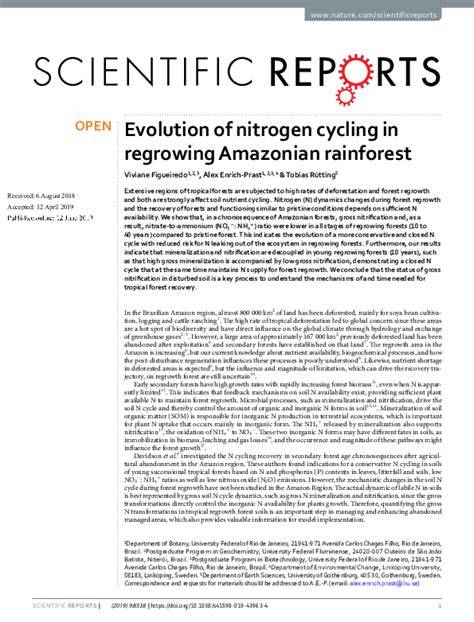 Evolution of nitrogen cycling in regrowing Amazonian rainforest - raincitystudios.com