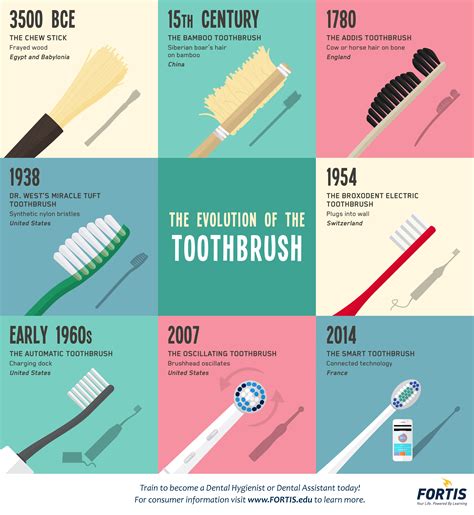 Evolution of Oral Hygiene: History & Innovations - wintechmobiles.com