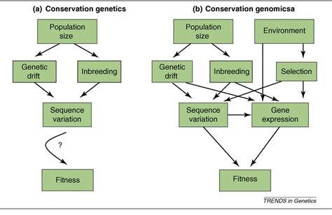 Evolutionary Genomics and Conservation of the … - muktibox.com