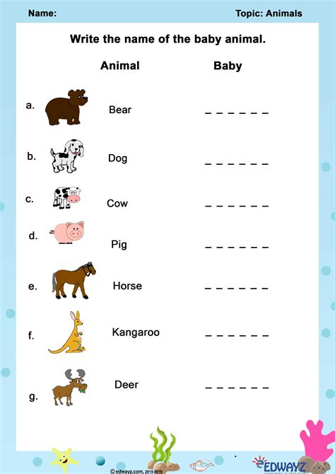 EVS Class 1 Worksheet