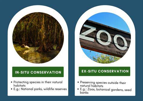 Ex situ conservation - raincitystudios.com