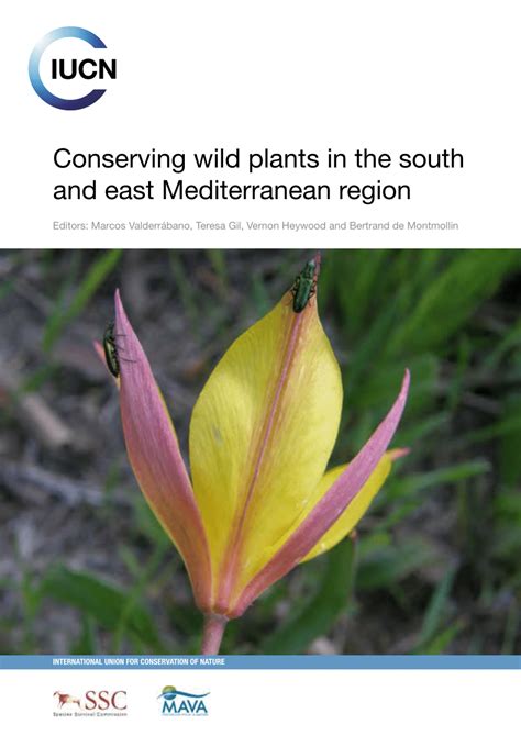 EX-SITU CONSERVATION OF FLORA SULAWESI IN - ProQuest - raincitystudios.com