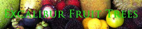 Excalibur Fruit Trees - Dave's Garden - raincitystudios.com