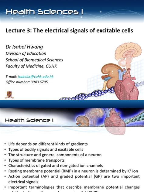 Excitable cells - The University of Western Australia - muktibox.com