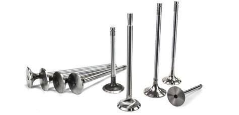 Exhaust and Intake Valve - Intake Air Control Valve … - raincitystudios.com