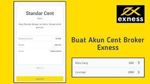Exness Akun Cent - coolestguyplanet.net