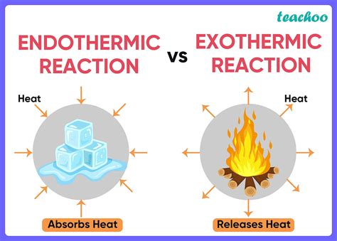 Exothermic and Endothermic Processes - CK-12 … - wintechmobiles.com