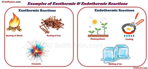 Exothermic Examples - wintechmobiles.com