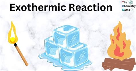 Exothermic reaction - wintechmobiles.com