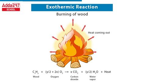 Exothermic reactions: General Biology I Study Guide |... - wintechmobiles.com