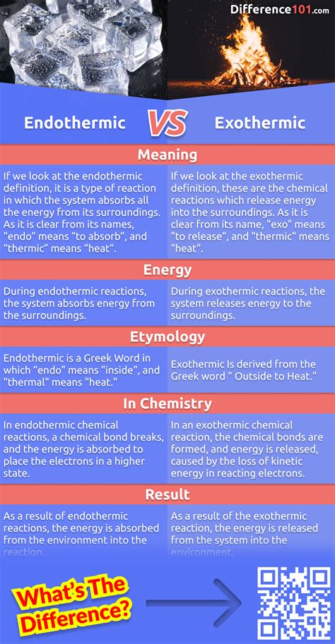 Exothermic vs. Endothermic and K - Chemistry LibreTexts - wintechmobiles.com