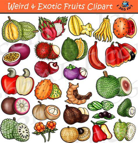 Exotic Fruits | Puerto Rico - Panoramic Fruit Company - raincitystudios.com
