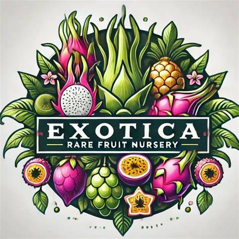 Exotica Rare Fruits Nursery - raincitystudios.com
