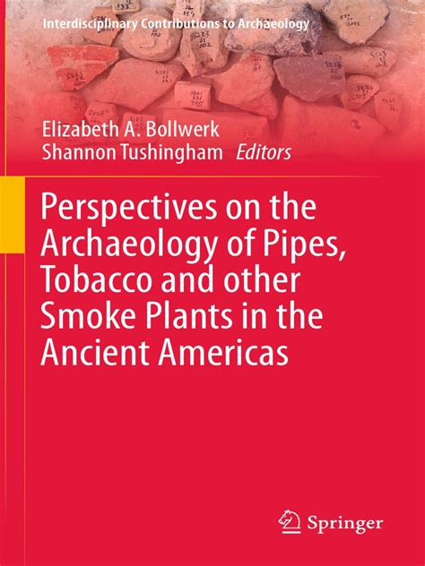 Expanding Perspectives on the Archaeology of Pipes, Tobacco - wintechmobiles.com
