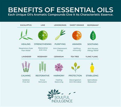 Experience the chemical-free benefits of our pure essential oil, all ... - raincitystudios.com