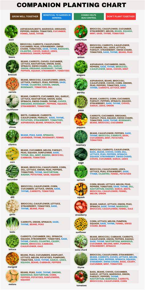 Expert Companion Planting Guide - The … - raincitystudios.com