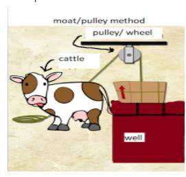 Explain rahat and moatpulley system class 8 biology CBSE - raincitystudios.com