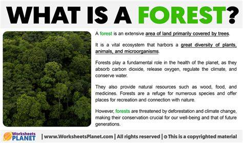 Explain why are some tropical forests called "cloud … - raincitystudios.com