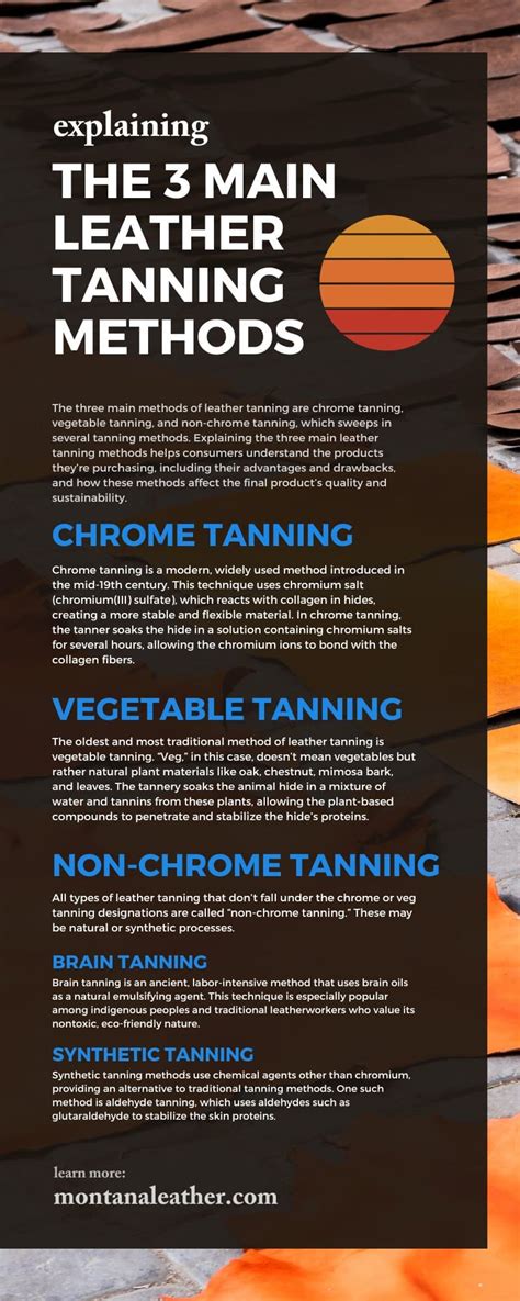 Explaining the 3 Main Leather Tanning Methods - wintechmobiles.com