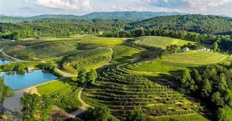 Explore Blue Ridge Orchards & Farms | Apple Picking in North Georgia - raincitystudios.com