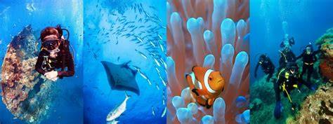 Explore Indonesia's Underwater World with Scuba Go - Dive Today! - raincitystudios.com
