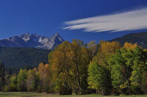 Explore Montana Ecosystems | Montana Natural … - raincitystudios.com