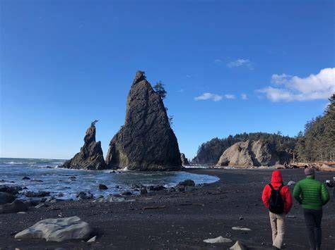 Explore Olympic Peninsula | Olympic National Park - raincitystudios.com