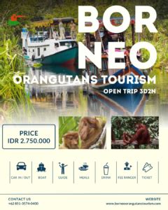 Explore Orangutans Borneo Package Tour (3 - wintechmobiles.com