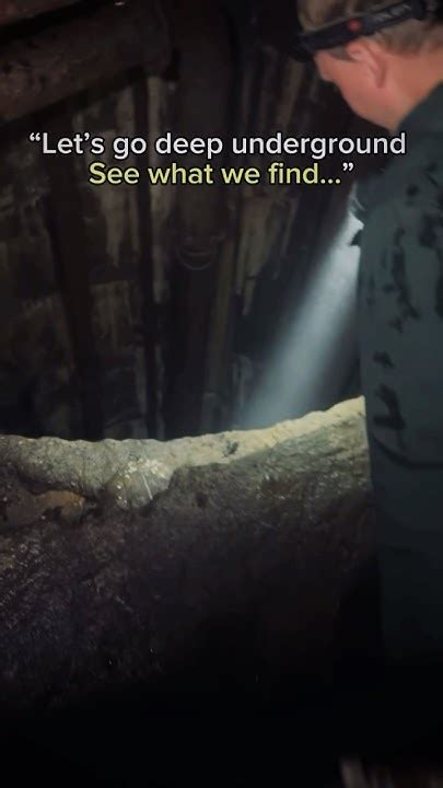 Explore the hidden underground world through the eyes of a tiny sand ... - muktibox.com