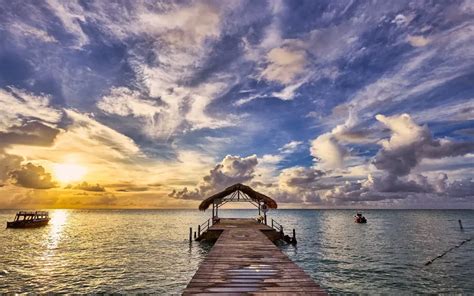 Explore Tobago Plantation's Boardwalk & Mangrove - raincitystudios.com